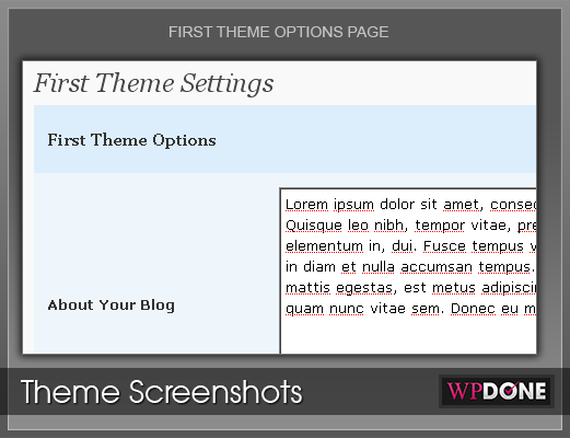 first-theme-options