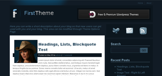 first-theme1
