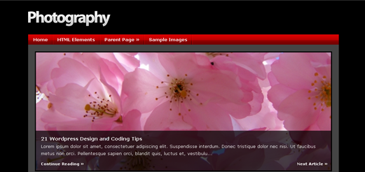 photography-theme