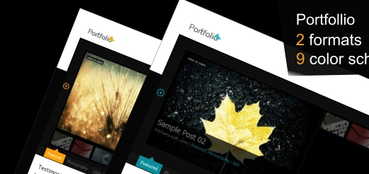 portfolio