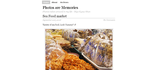 wp-foto-theme